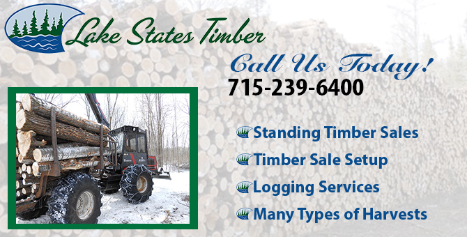 timber harvesting timber harvester Fall Creek Wisconsin Eau Claire County 