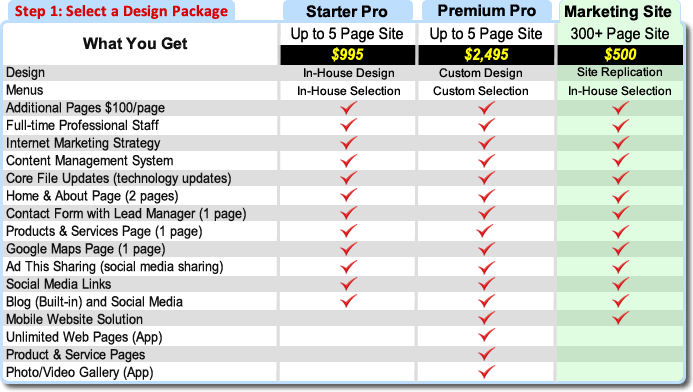 Step 1 Select a website design package