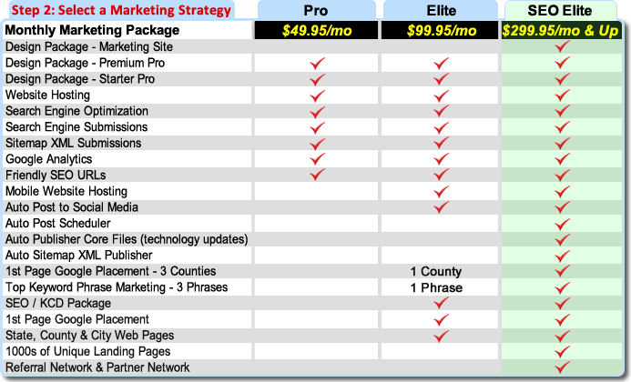 Step 2 Select an Internet Marketing Strategy