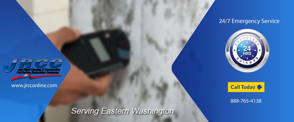 Mold Removal Washington Chelan County