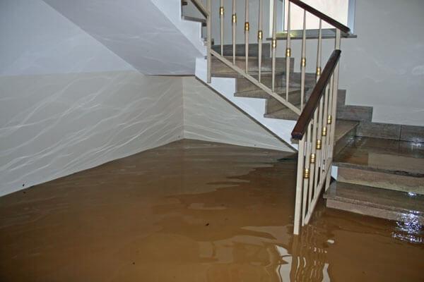 flooded basement cleanup     